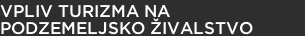 Vpliv turizma na podzemeljsko živalstvo Vpliv turizma na podzemeljsko živalstvo