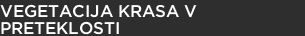 Vegetacija Krasa v preteklosti