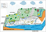 Konceptualni model pretakanja vode v kraškem vodonosniku (Ravbar 2007).