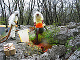 Injiciranje fluorescentnega sledila uranina v kraško razpoko neposredno ob odlagališču odpadkov Sežana.(Foto: M. Petrič)