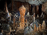 Kapniki v Pisanem rovu Postojnske jame. Foto: J. Hajna