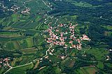 Na območju Tomaja še vedno prevladujejo vinogradi, četudi so vmes tudi travniki, kraj pa z vseh strani že obrašča gozd. Foto M. Lenarčič.