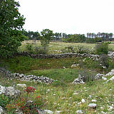 Opuščena in deloma že razpadla »delana« vrtača. Foto: A. Smrekar.