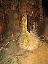 Flora okoli svetil v urejeni jami. (Foto: Janez Mulec)